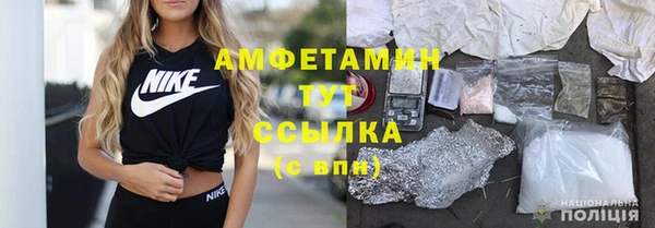 PSILOCYBIN Покачи