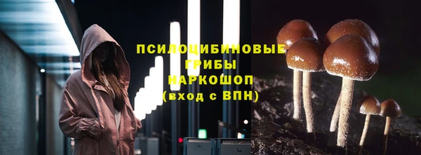 ГАЛЛЮЦИНОГЕННЫЕ ГРИБЫ Покровск